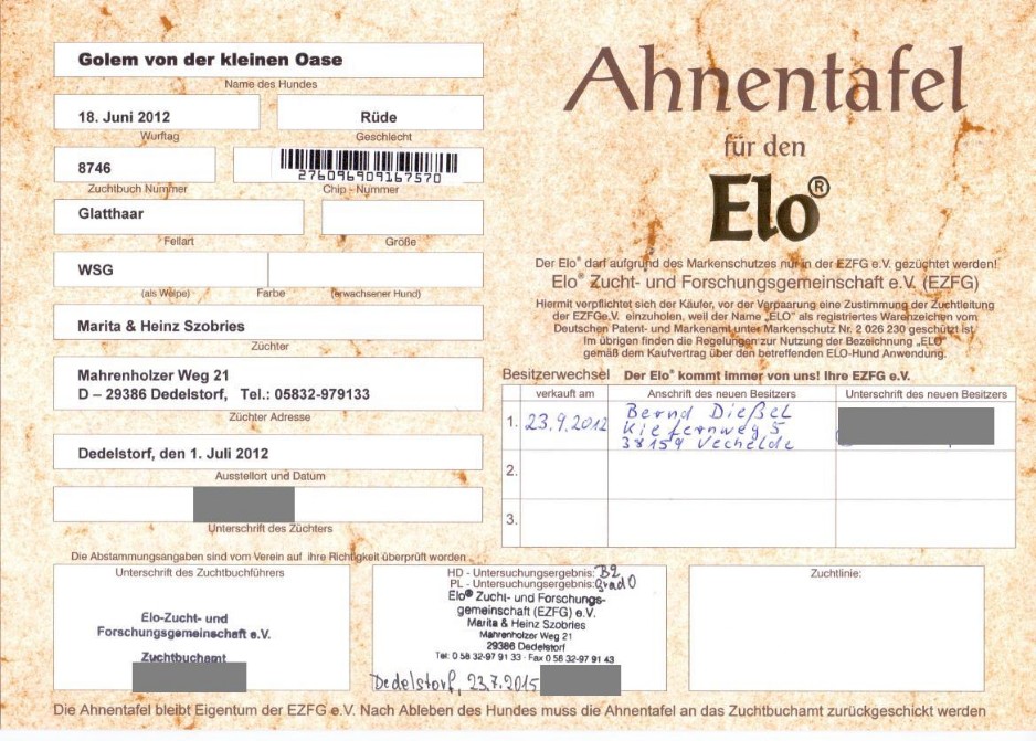 Ahnentafel Milo Seite 1