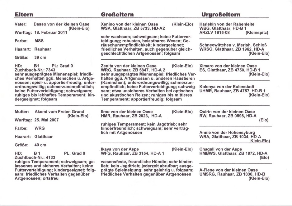 Ahnentafel Milo Seite 2